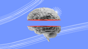 inteligencija | Softversko inzenerstvo | Brainster Next College